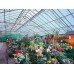 ThermaGlas Clear Polycarbonate Sheet 